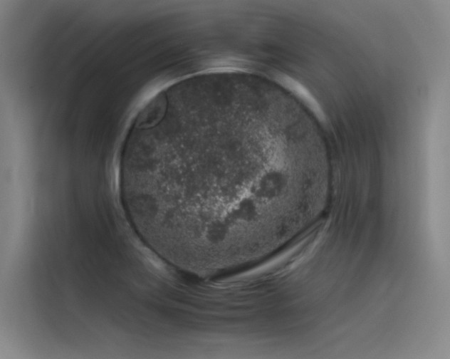 X0000116101419200911231116