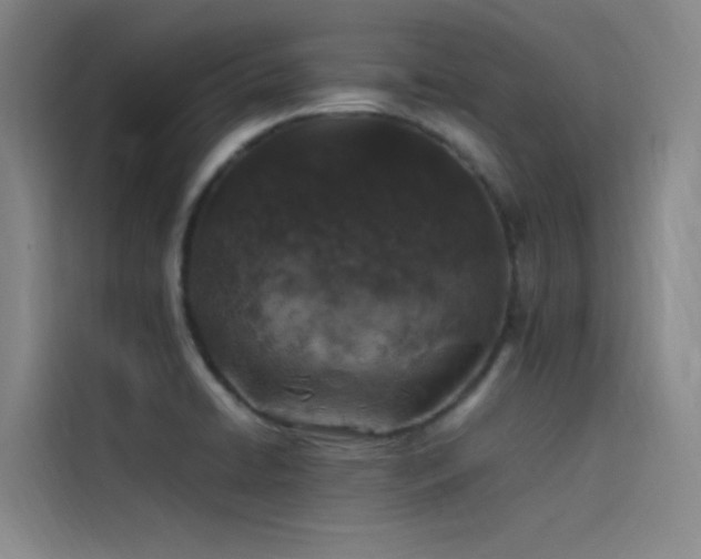 X0000116101422200911231116