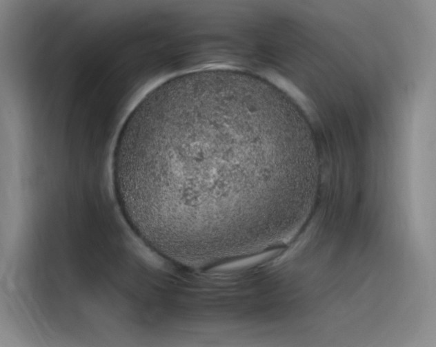 X0000116101423200911231116