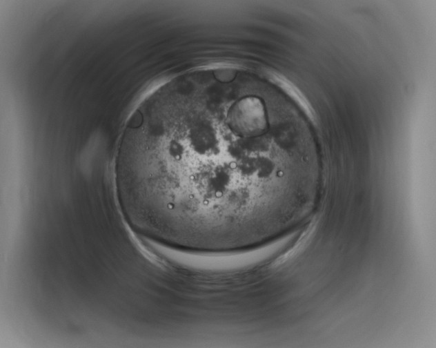 X0000116101425200911231116