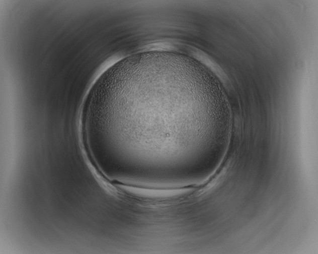 X0000116101426200911231116
