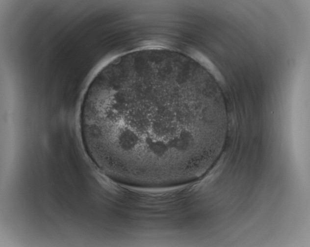 X0000116101427200911231116