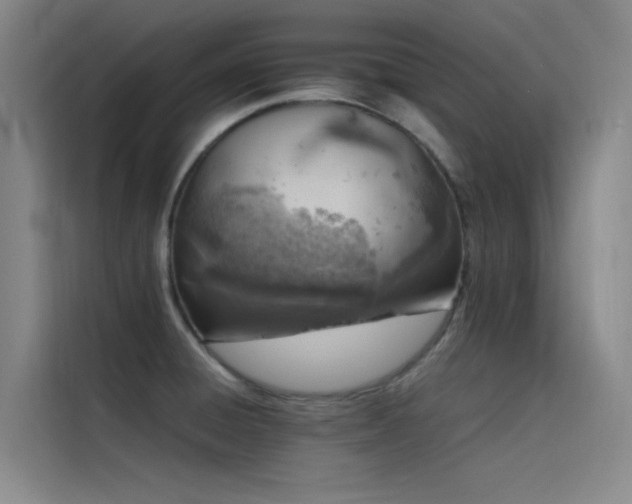 X0000116101428200911231116