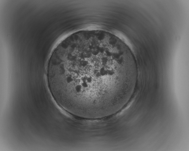 X0000116101429200911231116