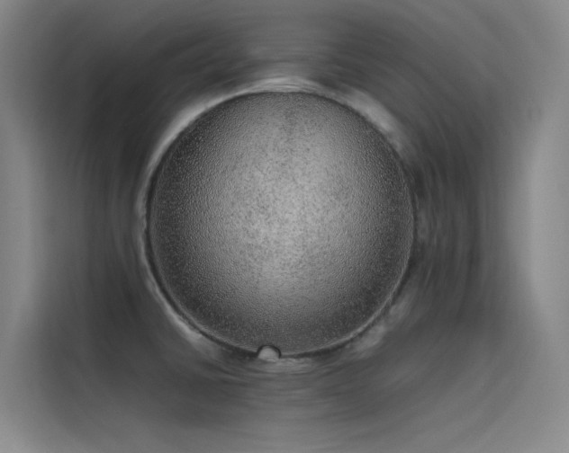 X0000116101430200911231116