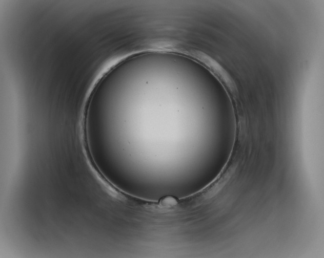 X0000116101432200911231116