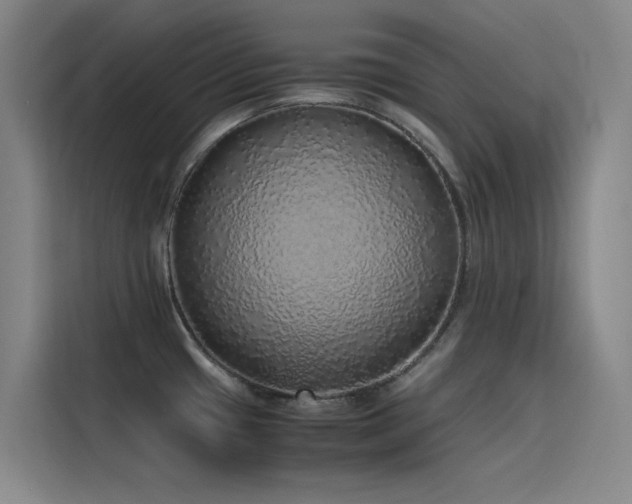 X0000116101433200911231116