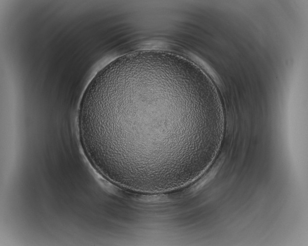 X0000116101434200911231116