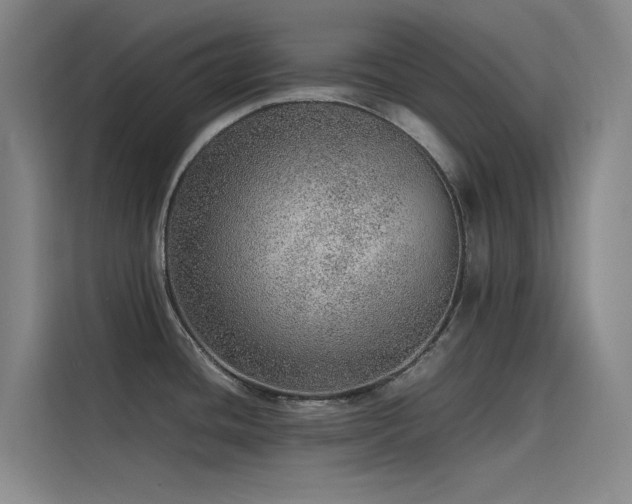 X0000116101436200911231116