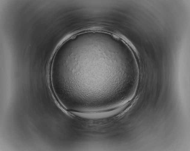 X0000116101437200911231116