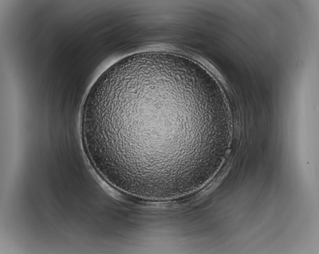 X0000116101438200911231116