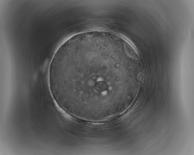X0000116101439200911231116