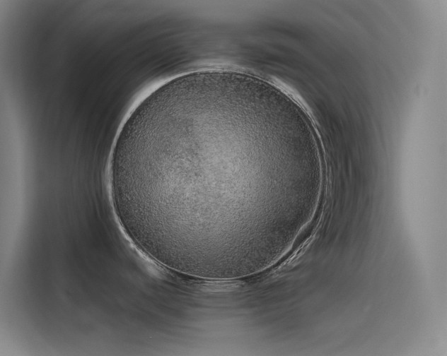 X0000116101440200911231117