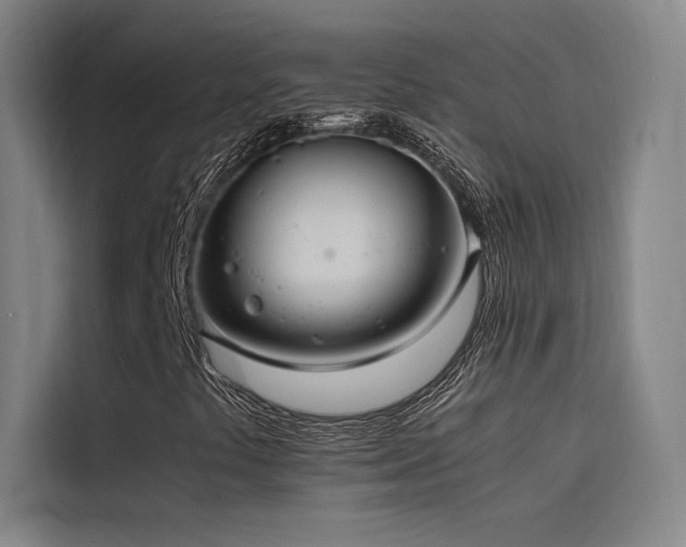 X0000116101441200911231116