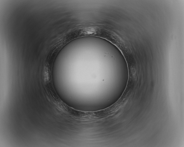 X0000116101442200911231116
