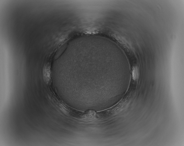 X0000116101444200911231116