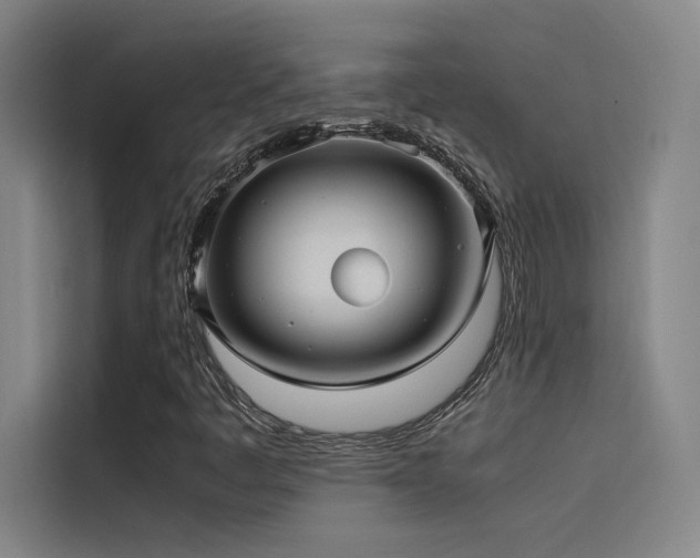 X0000116101445200911231116