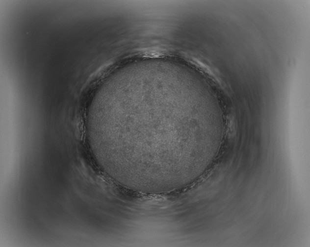 X0000116101446200911231116