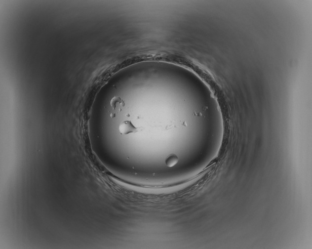 X0000116101447200911231116