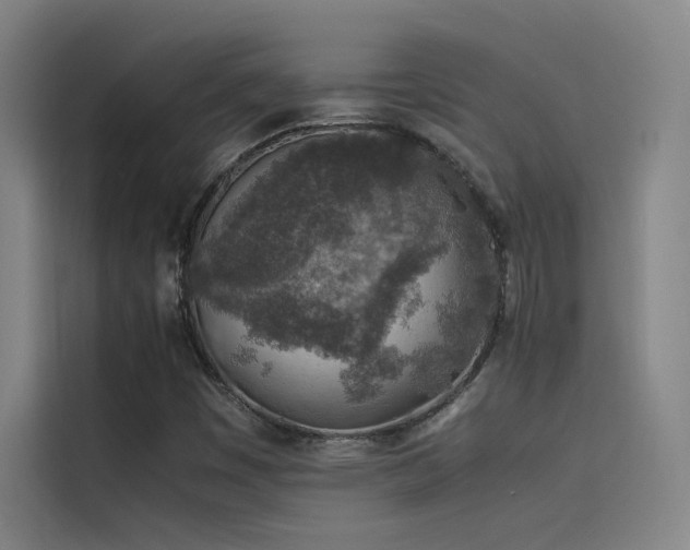 X0000116101449200911231116
