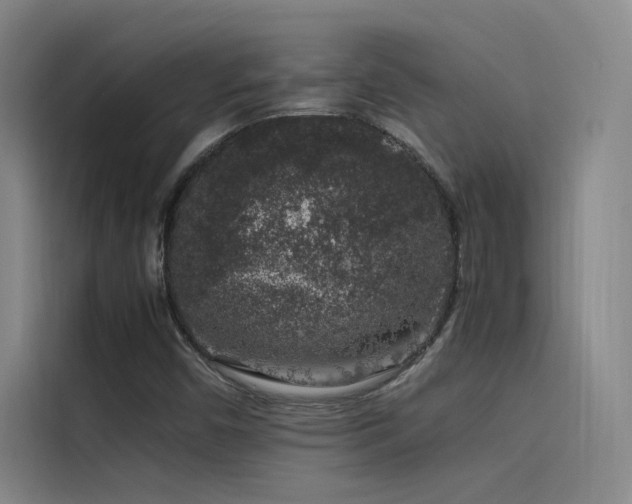 X0000116101450200911231116