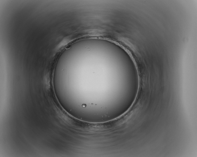 X0000116101451200911231116