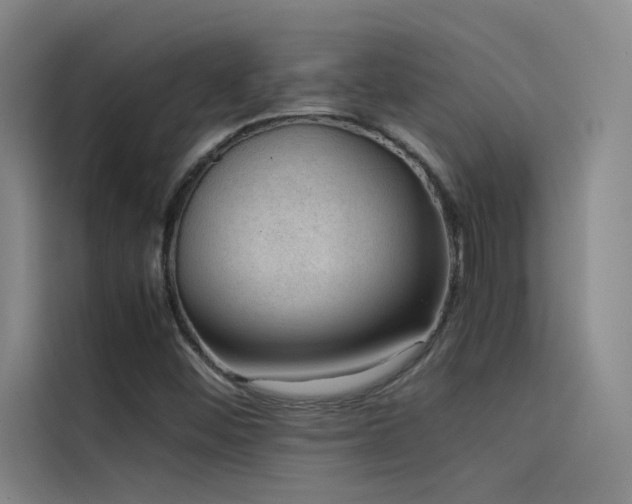 X0000116101452200911231116