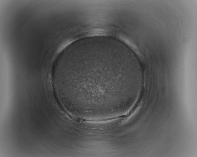X0000116101453200911231116
