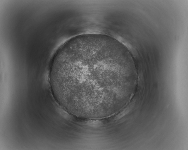 X0000116101454200911231116