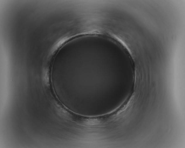 X0000116101455200911231116