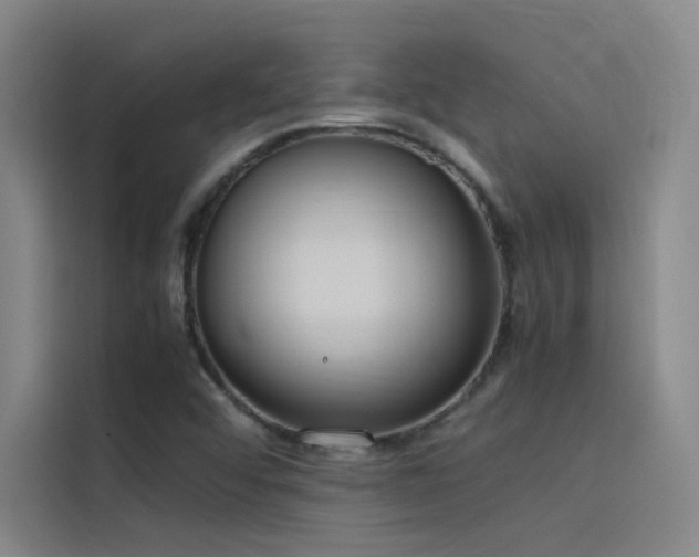 X0000116101456200911231116
