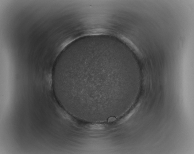 X0000116101457200911231116