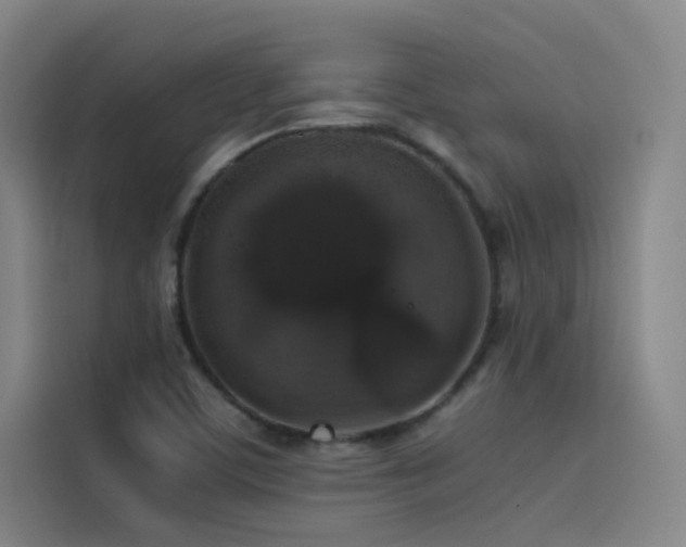 X0000116101459200911231116
