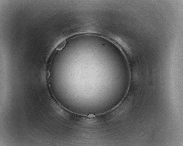 X0000116101460200911231116