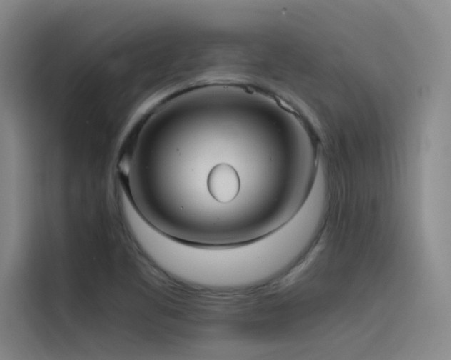 X0000116101461200911231116