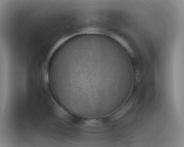 X0000116101462200911231116