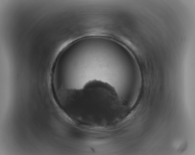 X0000116101463200911231116