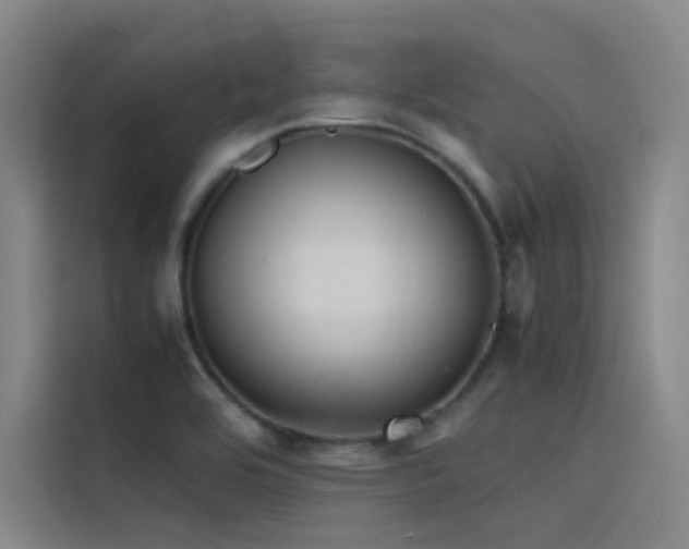 X0000116101464200911231116