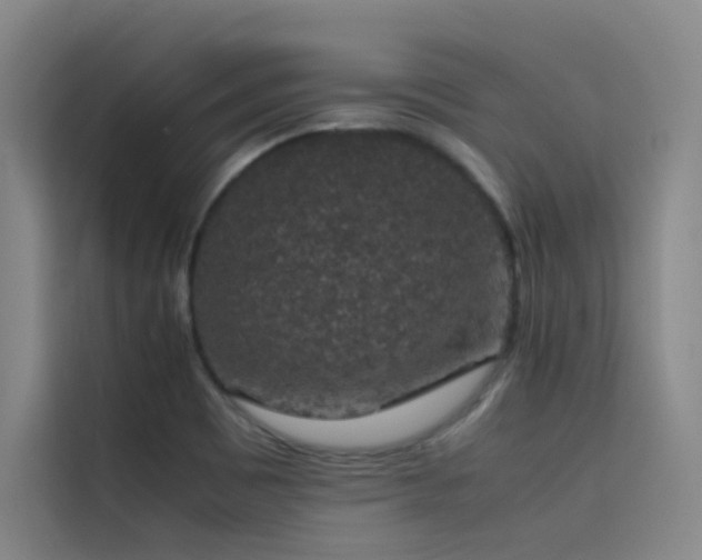 X0000116101465200911231116
