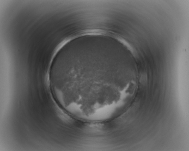 X0000116101466200911231116