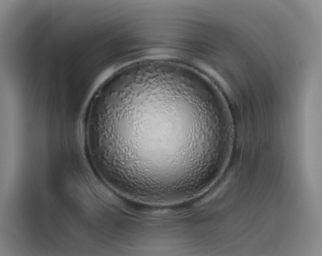 X0000116101467200911231116