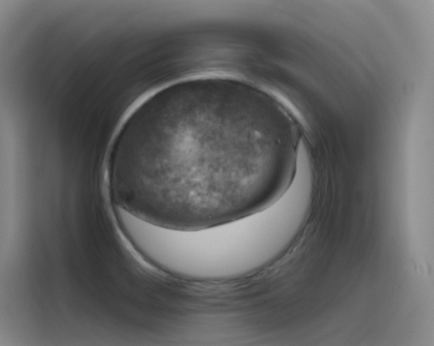 X0000116101468200911231116