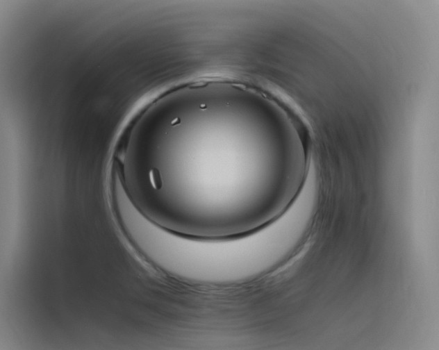 X0000116101469200911231116
