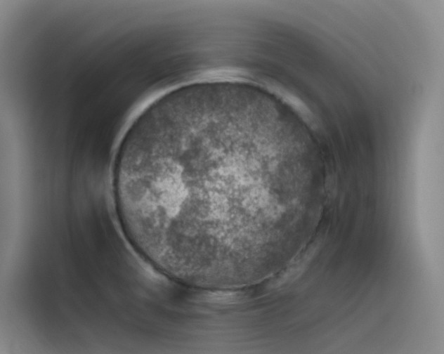X0000116101470200911231116