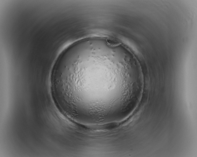 X0000116101471200911231115