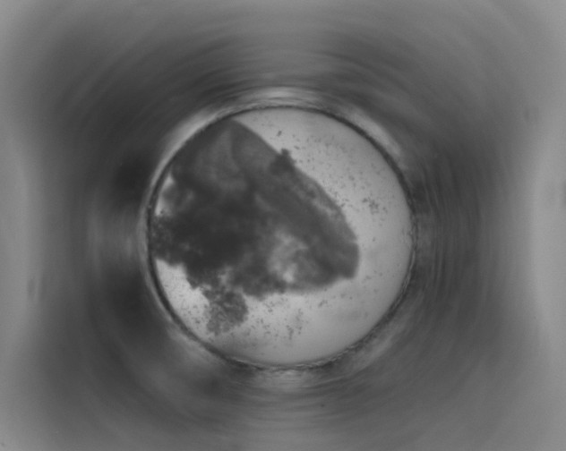 X0000116101474200911231115