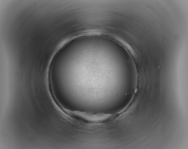 X0000116101475200911231115