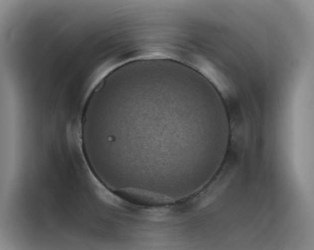 X0000116101476200911231115