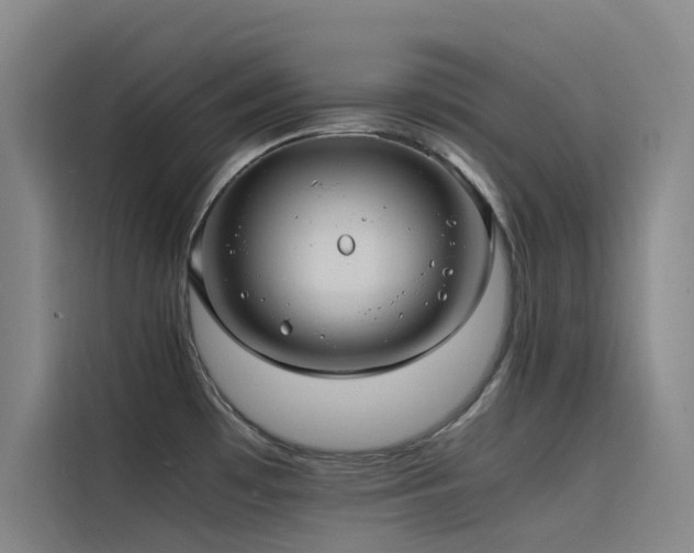 X0000116101481200911231115
