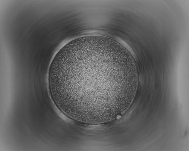 X0000116101482200911231115
